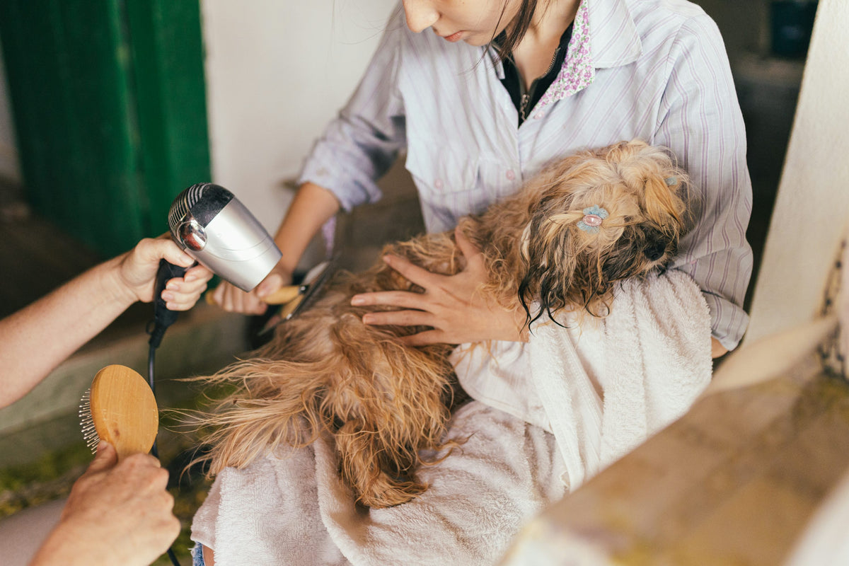 THE LUXE JOURNAL editorial cover for a dog washing and luxury pet utility room concept