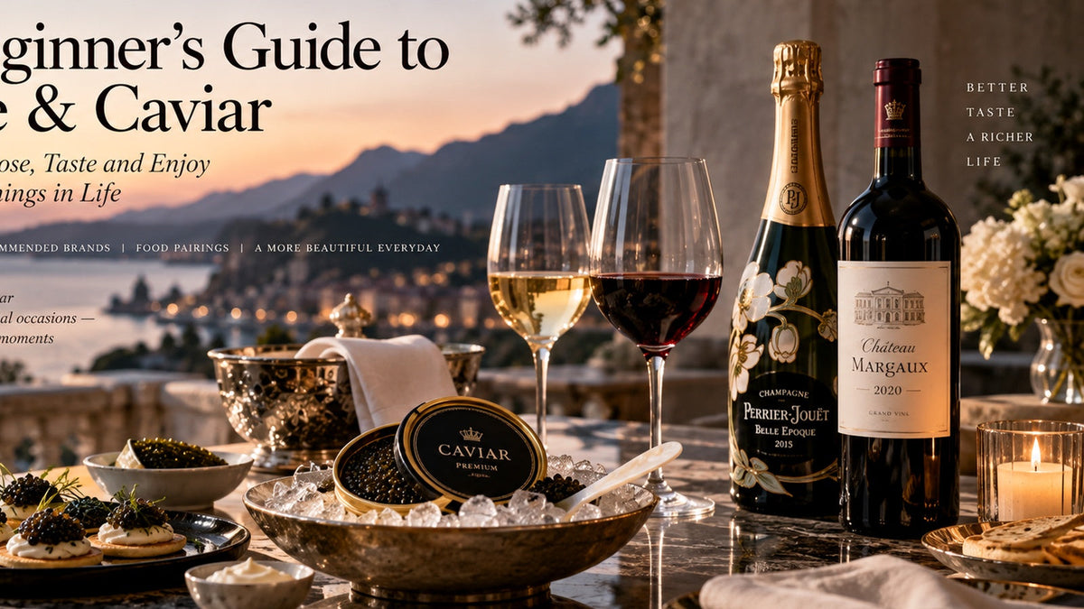 Beginner red wine tasting table with elegant glassware and classic red wine