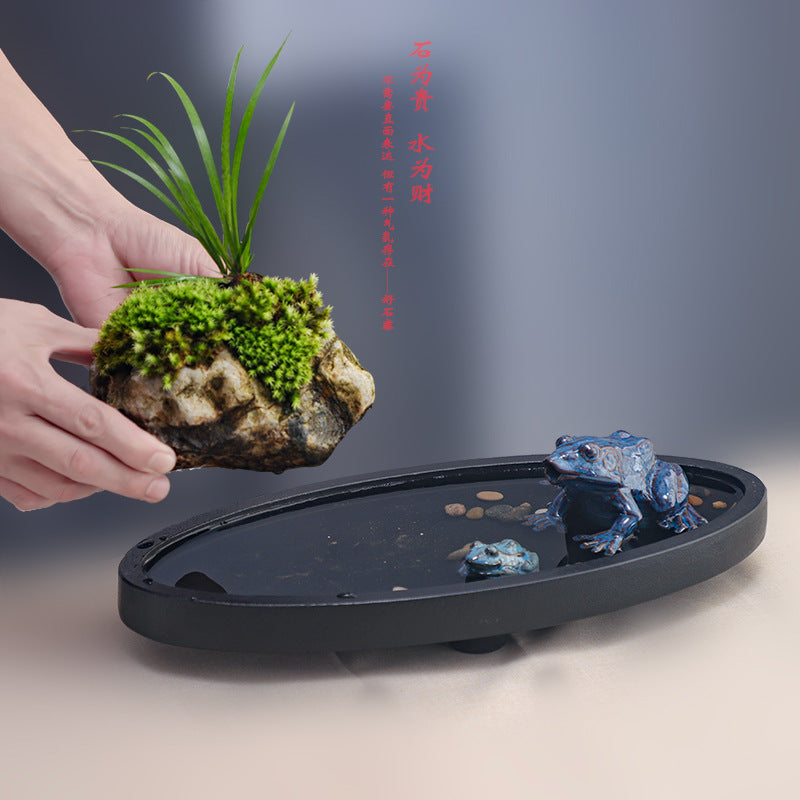 Styled oval black stone water garden with moss rock and ceramic frog