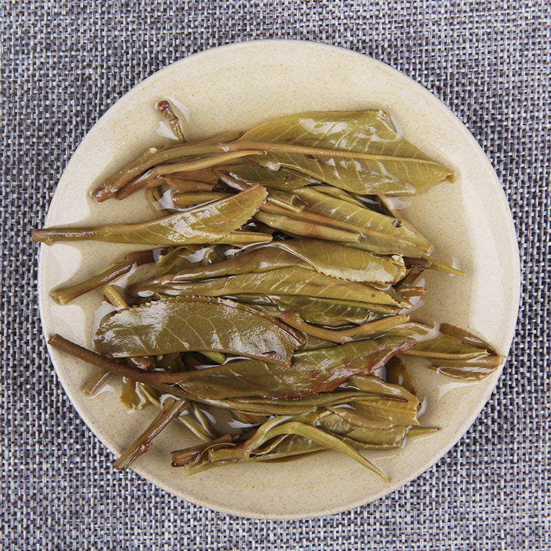 Infused leaves from 2015 Bingdao ancient tree raw Pu-erh showing soft whole-leaf material