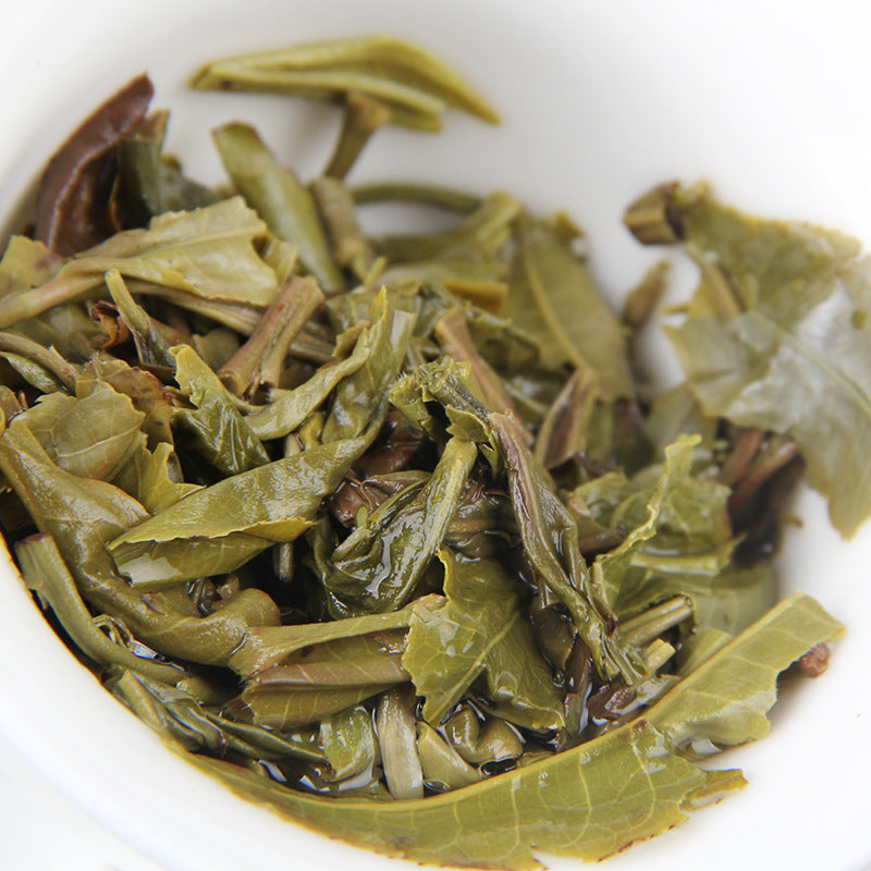 Infused leaves of 2020 Bulang Early Spring raw Pu-erh tea