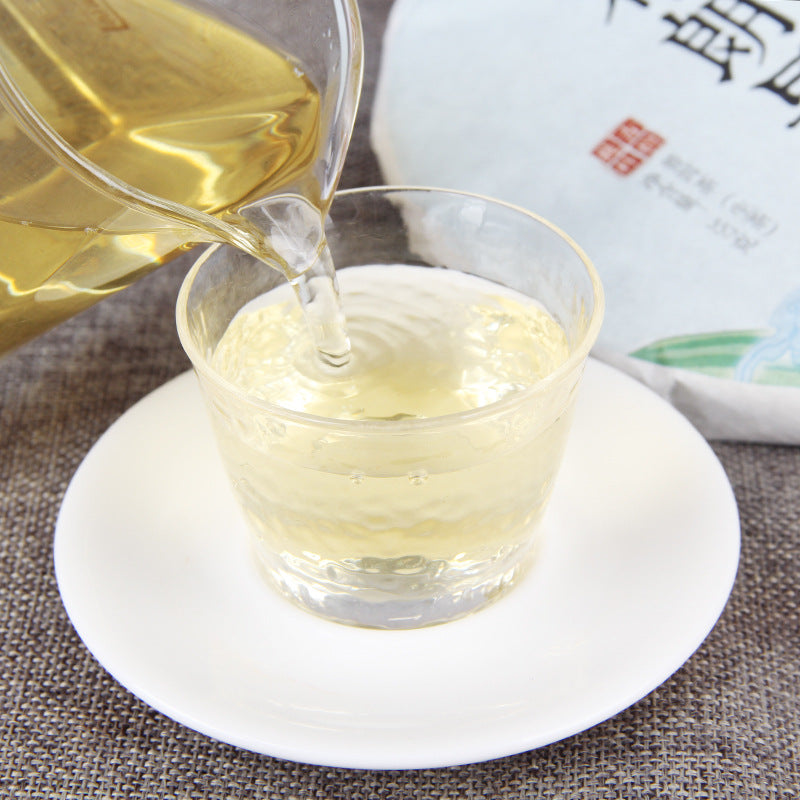Golden tea liquor brewed from 2020 Bulang Early Spring raw Pu-erh