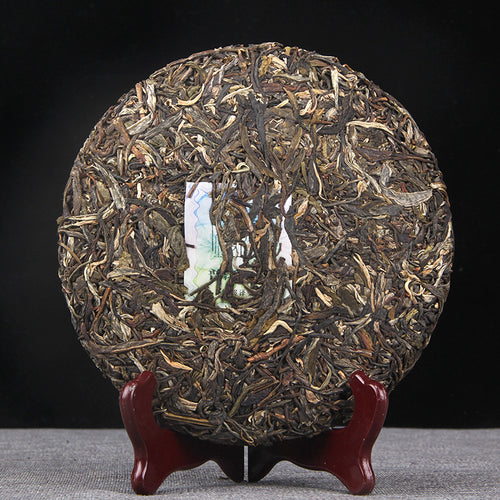 Unwrapped 2021 Bingdao Chunjian raw Pu-erh tea cake