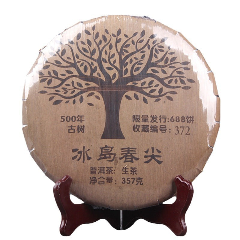 Golden tea liquor brewed from 2021 Bingdao Chunjian raw Pu-erh
