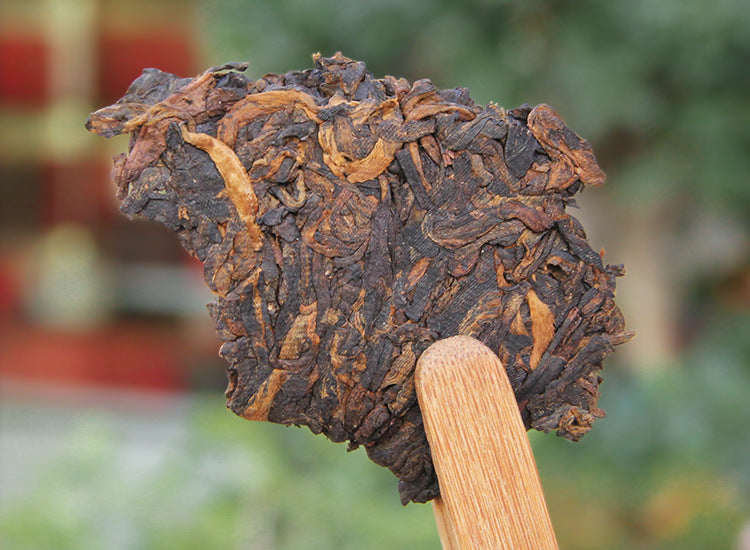 Loosened piece of 2022 Banzhang ripe Pu-erh tea cake on bamboo scoop