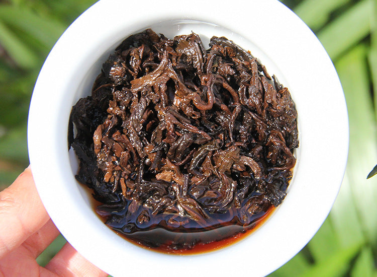 Infused leaves from 2022 Banzhang ripe Pu-erh tea cake
