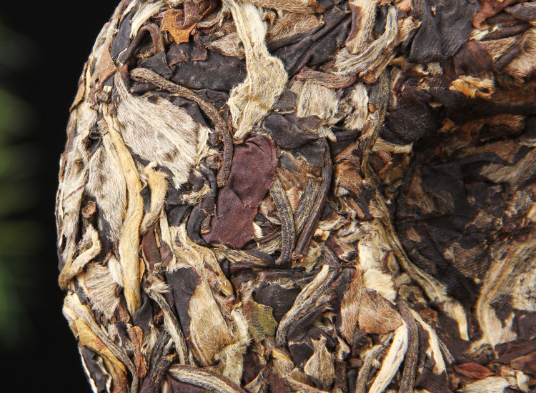 Close-up of 2022 Yunnan Moonlight White tea cake leaves and silver buds 月光白