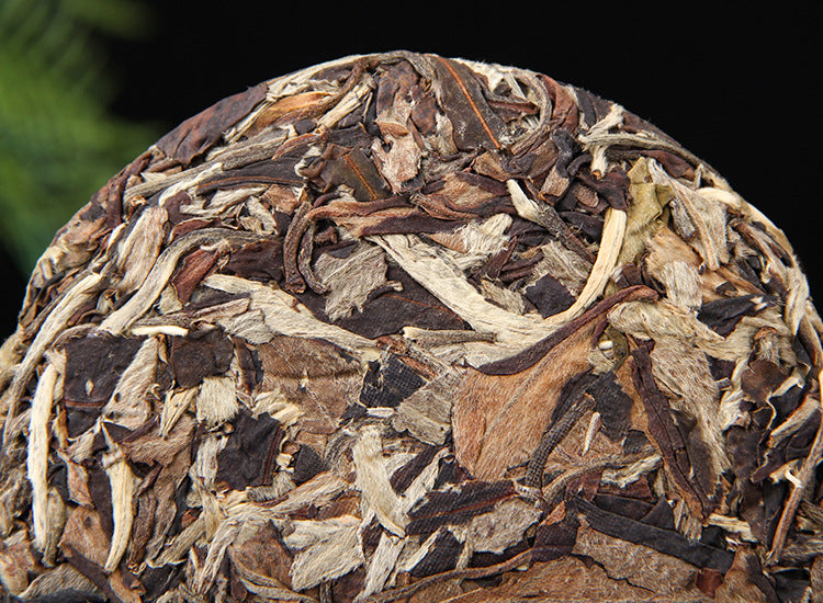Close-up of Moonlight White large-leaf compressed Yunnan white tea 月光白