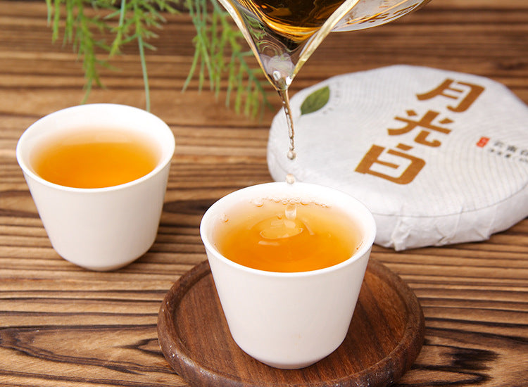 Golden liquor of 2022 Moonlight White tea pouring into tasting cups 月光白 茶汤