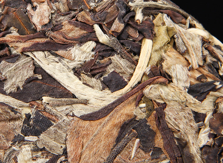 Pressed leaf surface close-up of Yunnan Moonlight White tea cake 月光白