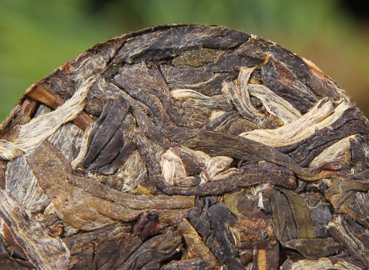 2023 Xiaobingdao raw Pu-erh mini cake showing compact tea leaf surface