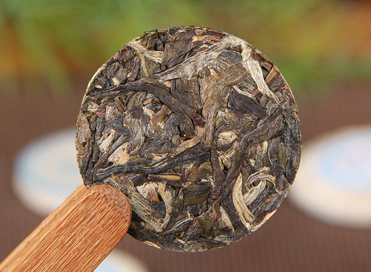 Blue Edition Bingdao sweet raw Pu-erh mini cake with individually wrapped tea portions