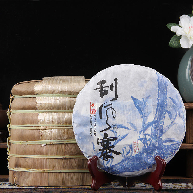 2023 spring Guafengzhai sheng puer brewed tea presentation