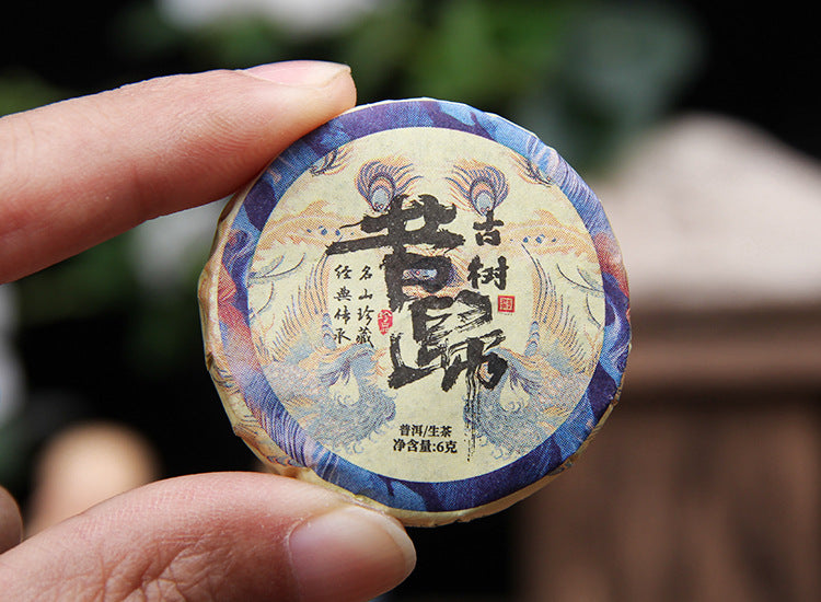 Hand-held individually wrapped 6g 2023 Xigui raw Pu-erh mini cake 昔归玉饼