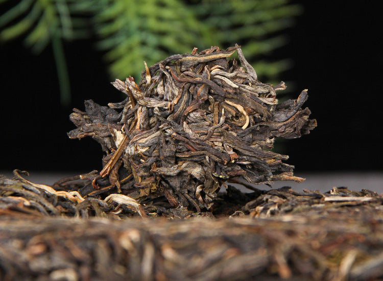 Loosened leaves from 2025 Mangfei raw Pu-erh tea cake