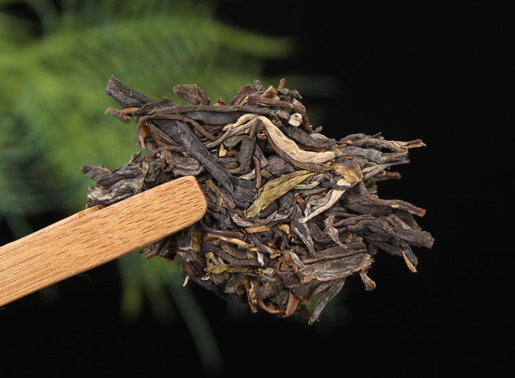 Loosened 2025 Mangfei raw Pu-erh tea leaves displayed on wooden tea tool