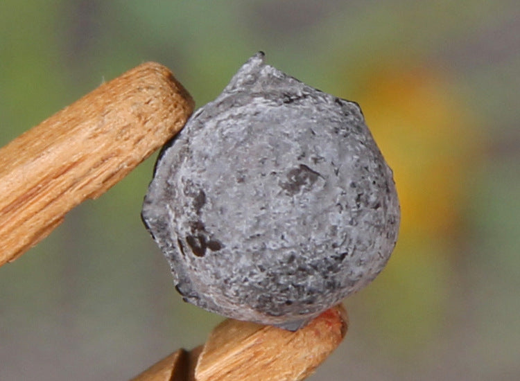 Unwrapped Sticky Rice Aroma Ripe Pu-erh Tea Paste pellet 糯香熟茶膏