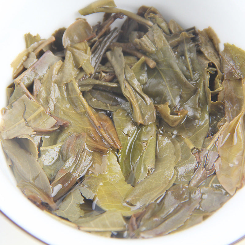 Infused Bingdao Ancient-Tree Raw Pu-erh leaves 冰岛古树生普 叶底