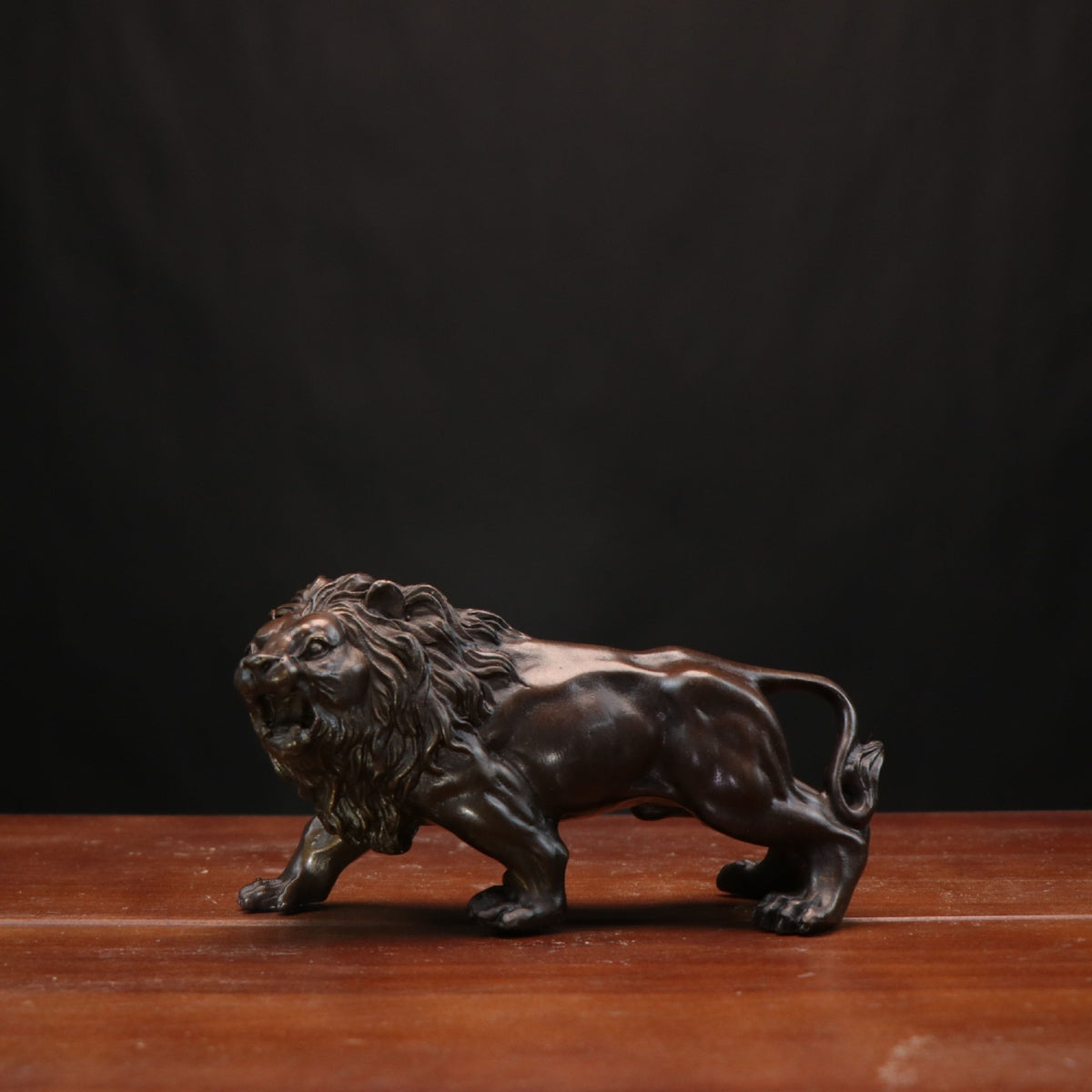 Copper male lion sculpture in dark coffee finish with detailed mane