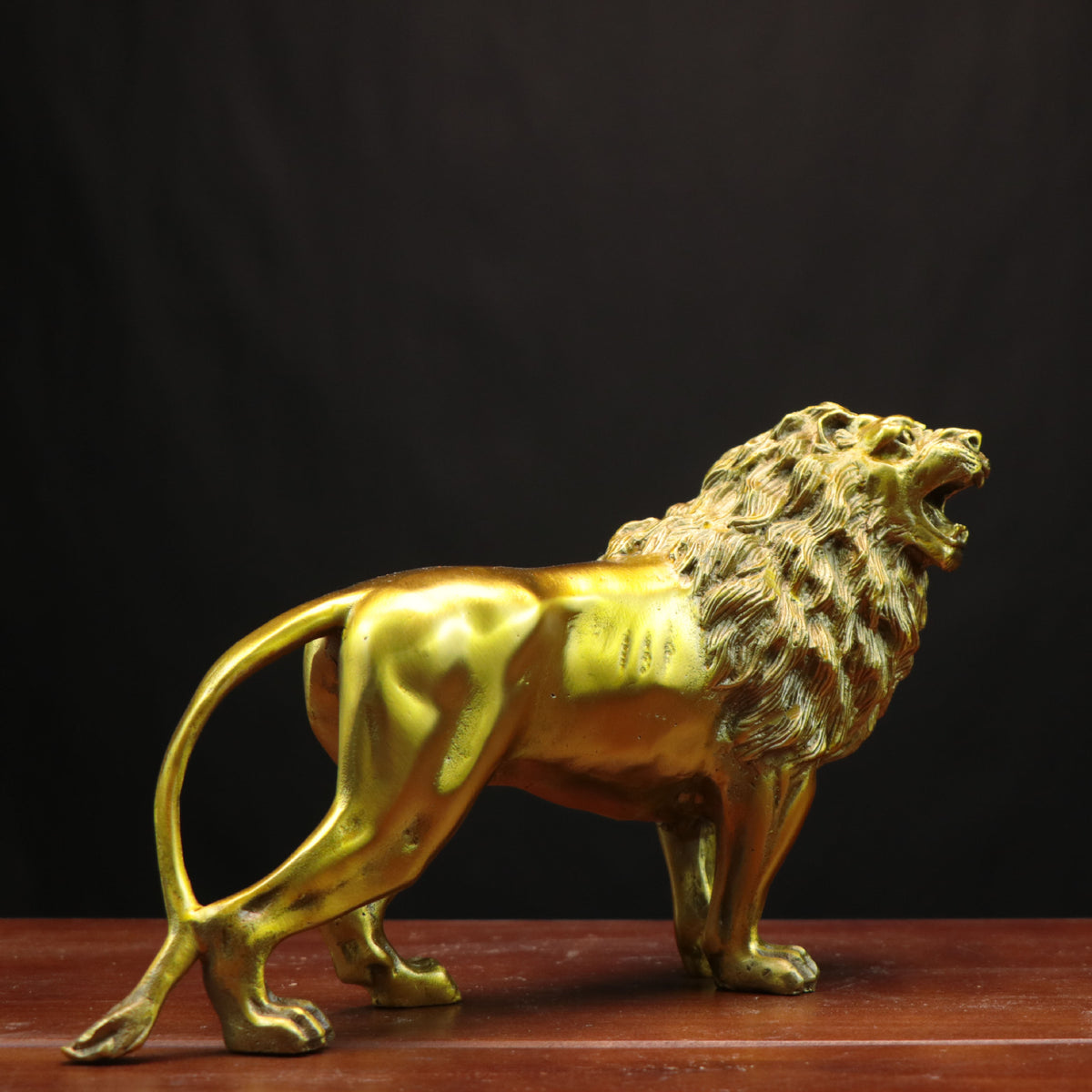 Large golden copper male lion sculpture standing in a proud roaring pose