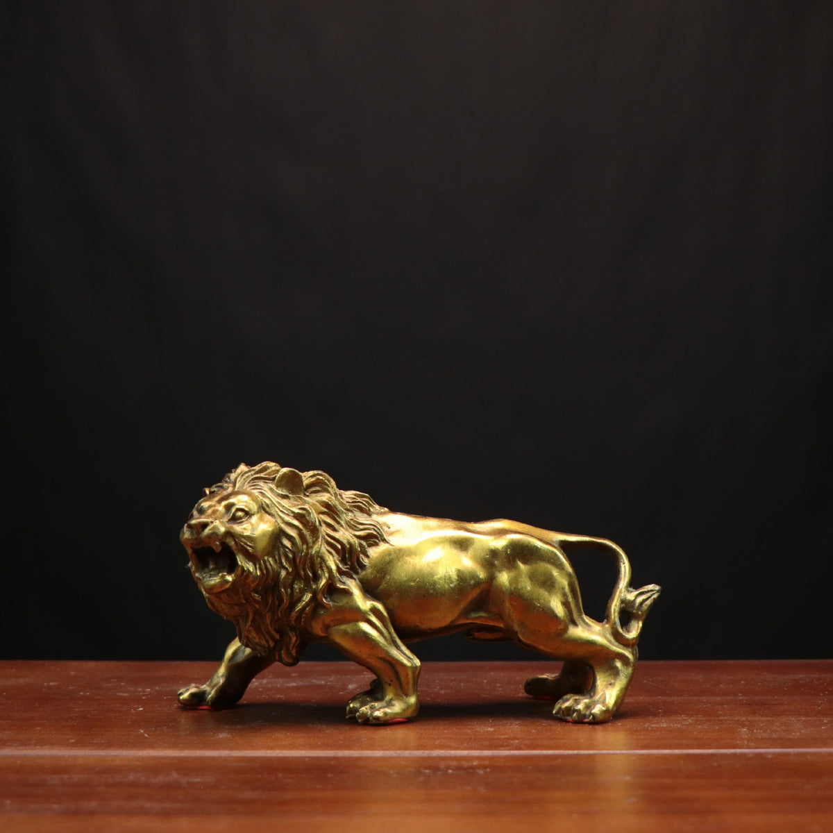 Small golden copper male lion sculpture in a forward-striding pose