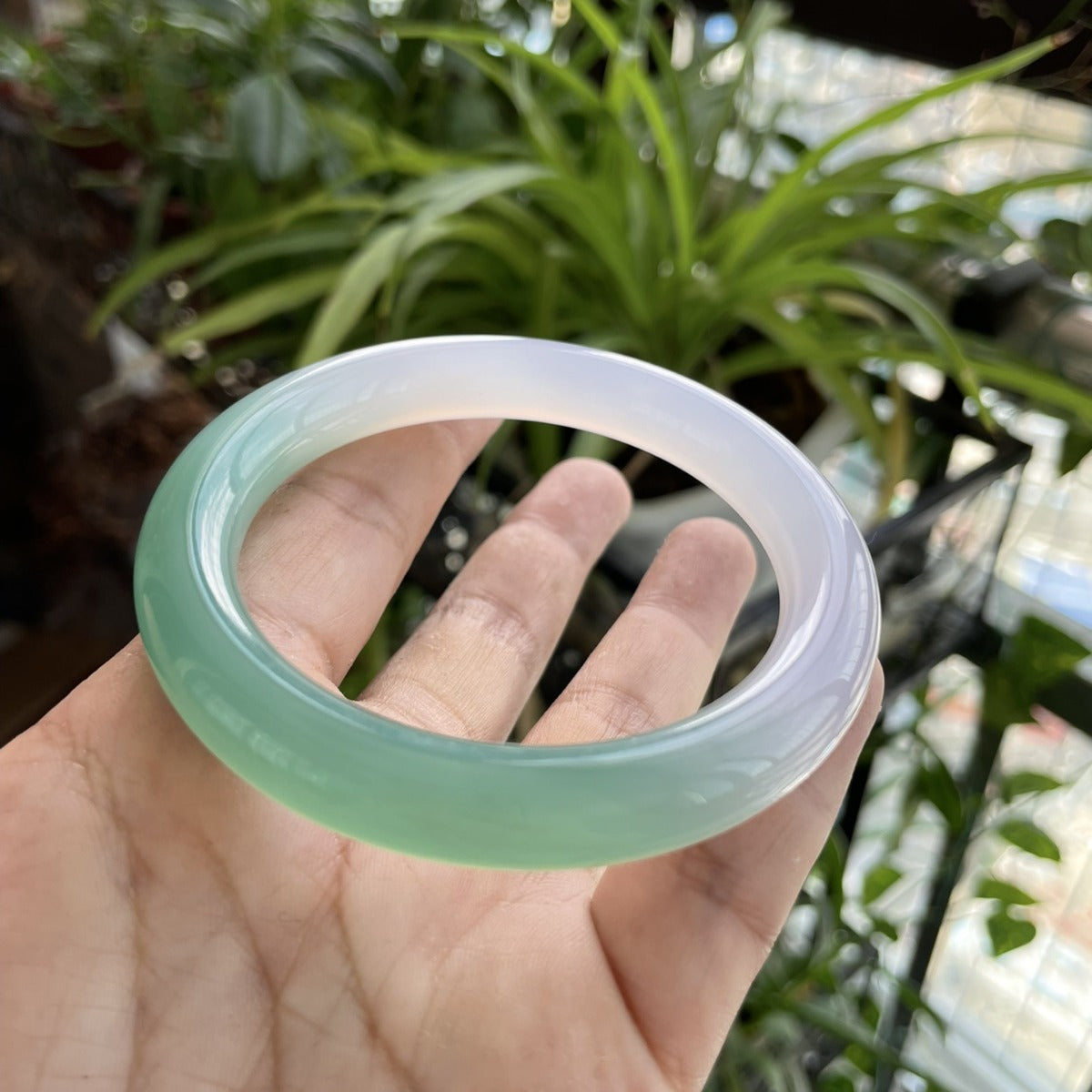 Green and lavender gradient chalcedony round bangle in natural light