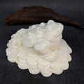 Ivory nut golden toad wealth figurine on Chinese coin base in natural creamy vegetable ivory tone