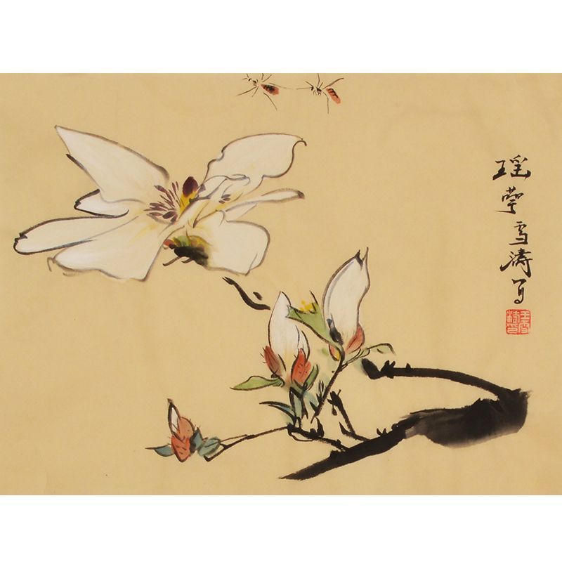 Wang Xuetao inspired hand-painted Chinese white magnolia and butterfly painting
