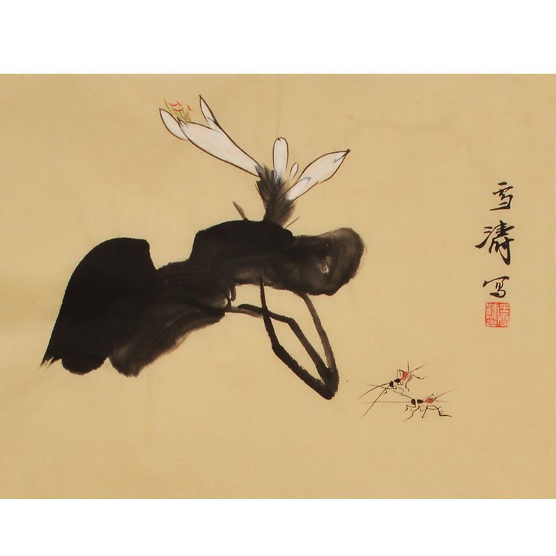 Wang Xuetao inspired hand-painted Chinese white magnolia and insects painting