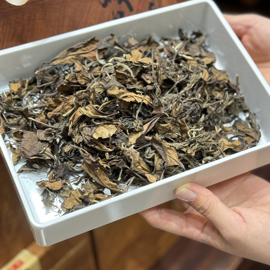 2015 Fuding aged white tea loose leaf close-up