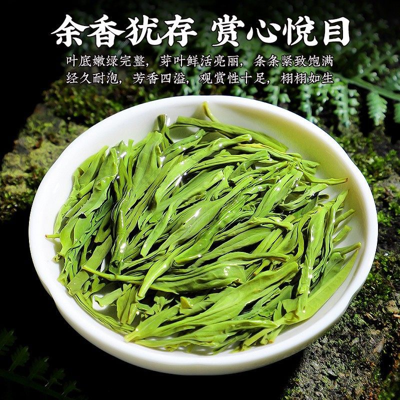 Maojian green tea leaves opening in hot water