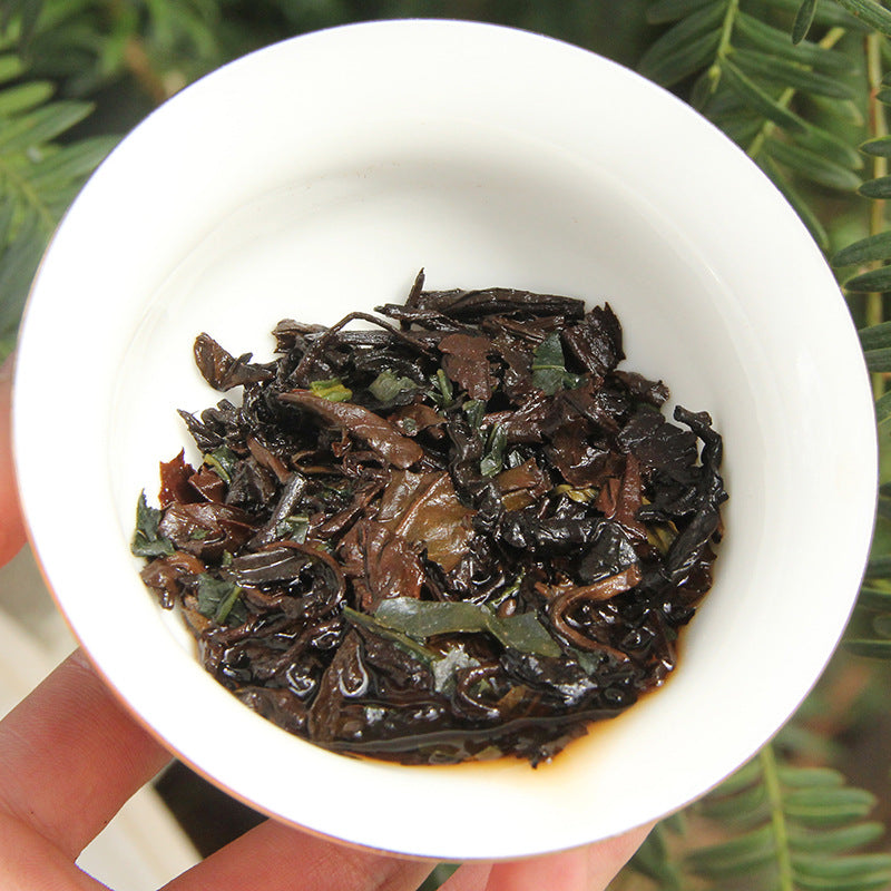 Brewed sticky rice aroma ripe Pu-erh leaves in a white gaiwan showing dark tea and aromatic leaf pieces