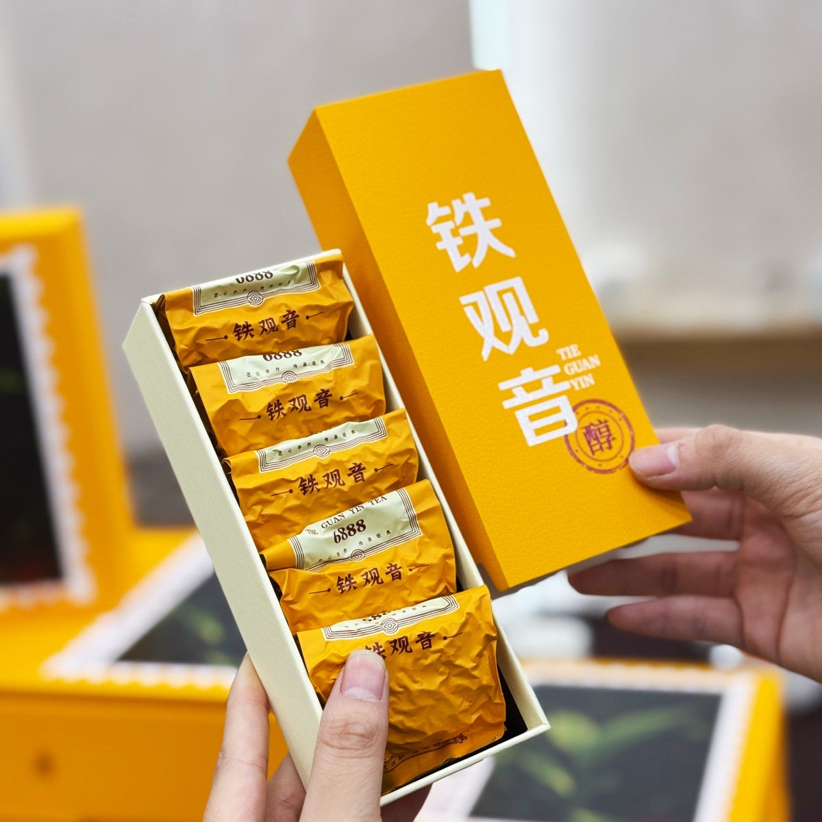 Individually packed Tie Guan Yin oolong portions