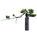 Welcoming Pine stone column bonsai sculpture on white background